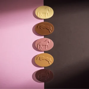 Chocolaatjes assortiment